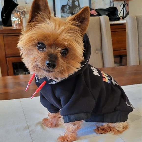Pride Dog Hoodie S